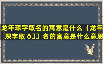 龙年琛字取名的寓意是什么（龙年琛字取 🐠 名的寓意是什么意思）